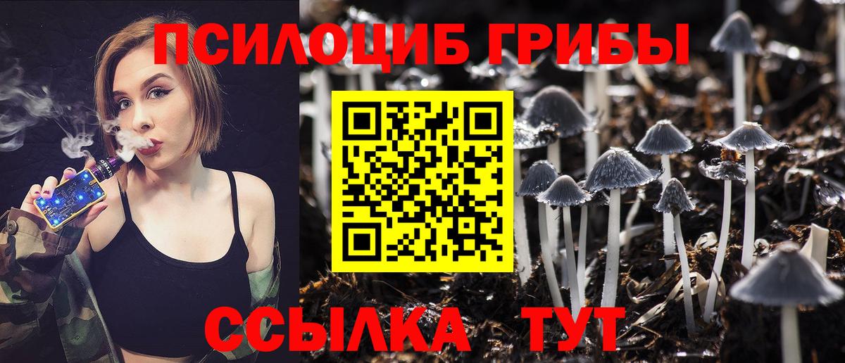 Геленджик  Галлюциногенные грибы прущие грибы  Вход с VPN 